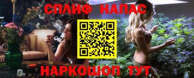 дмт Тара