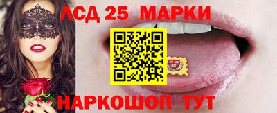 дмт Тара